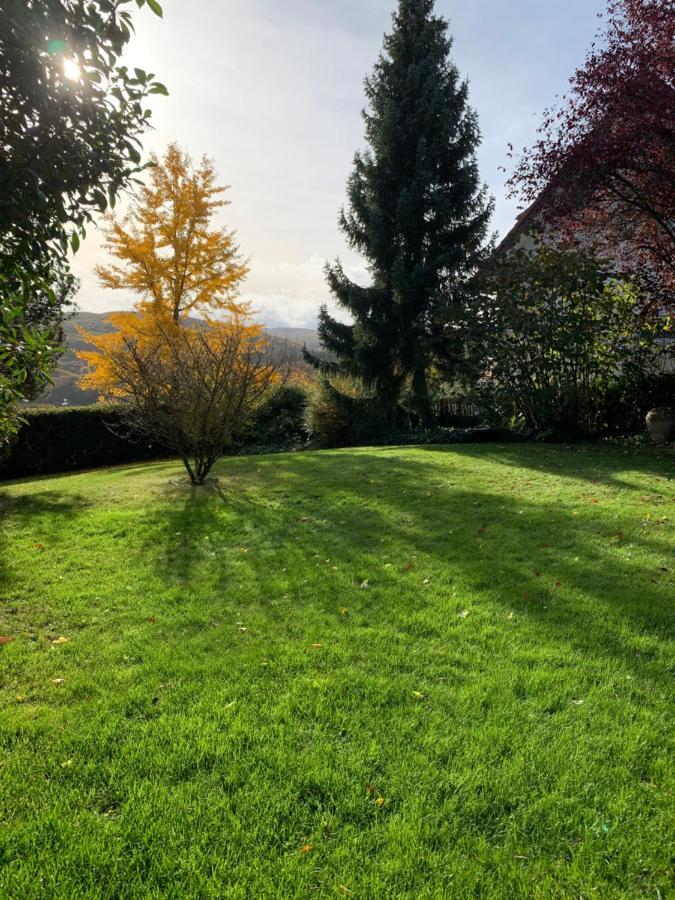 Haus Am Pfingstborn Leilighet Ober-Mörlen Eksteriør bilde